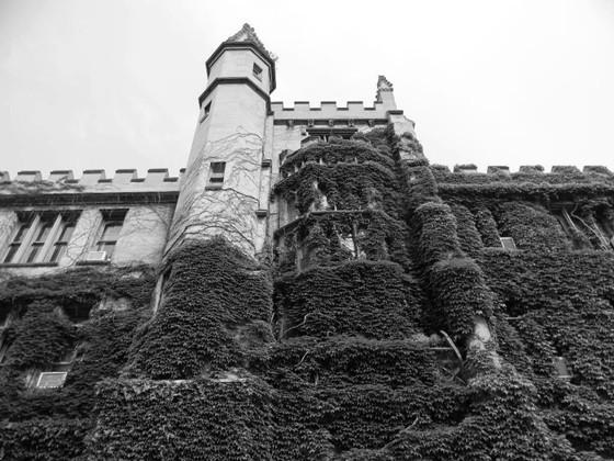 Black & Whites: Black & White Shots