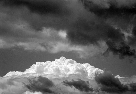 Black & Whites: Black & White Shots